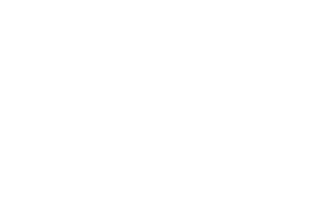 IBB Institut